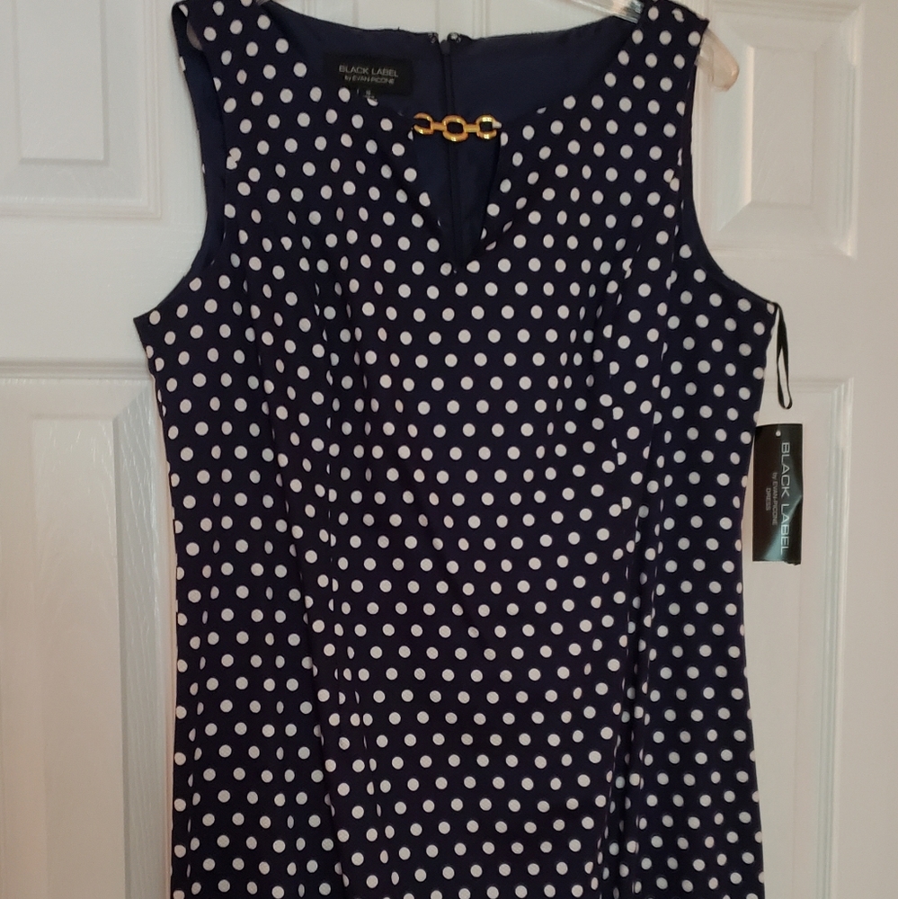 Evan Picone Dress